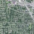 Family dispute reported with loud screaming and cursing