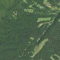Domestic assault and property damage reported near Whitmire Ridge Road