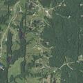 Animal complaint reported on North Route E
