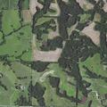 Smoldering bonfire and trash found in rural field