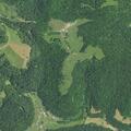 Domestic dispute involving (name withheld) and adult daughter reported near South Indian Fork Road