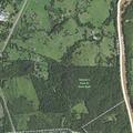 Woman reported unsteady on feet near Leesburg
