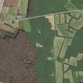 Male found unresponsive near Howard Wilson Road