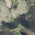 Welfare check with possible bear sighting reported