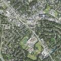Person bitten by animal near Cedar Avenue