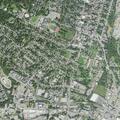 Woman bleeding from eye after fainting near Bellevue Avenue
