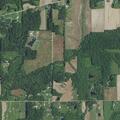 Loose goats reported near E County Rd 800 N in Sunman