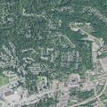 Elderly man disoriented near Cook Road in Milford