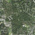 Person experiencing chest pain at Autumn Splendor Drive
