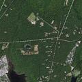 Woman falls near Tyler Road in Dennis Township