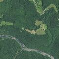 Harassment complaint on Laurel Creek Road