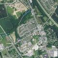 Person sick near Main Street between Parker's and Sherman Drive