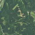 Disturbance reported on Old Mountain Run Trail