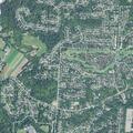 Large snake reported in residential yard