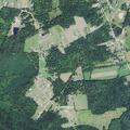 Domestic dispute at Windy Ridge Road residence