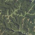 Woman reported weak and ill near Hamburg Michael Road