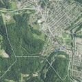 Open dump complaint on Burton Avenue