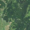 Loose cows reported in yard on Haller Hill