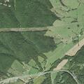 Vehicle hits cow; driver reports chest pain