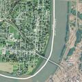 Complaint about loose dogs in 1500 block area