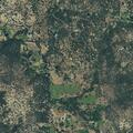Neighbor dispute on Township Road