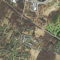 82-year-old man sick near Willow Branch