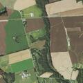 Traumatic injury near Still Pond Road in Worton