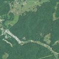 Tree blocking Deerwalk Highway near Morris Manor
