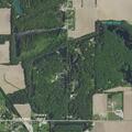 Tree or limb blocking State Road 159