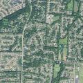 Complaint about found dog at residence