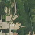 98-year-old woman sick near mile road area