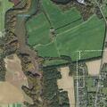 88-year-old man choking on fruit at Cedarwood Drive