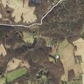 Tree on power line catches fire at farm