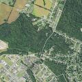 77-year-old woman with back pain at Autumn Woods Drive