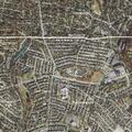 Youth causes property damage during behavioral crisis near East Belvedere Ave