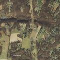Tree company dispute over property trespass