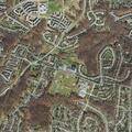 Family disturbance on Collier Road