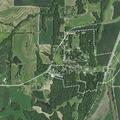 90-year-old woman falls and possibly breaks hip in Dewitt