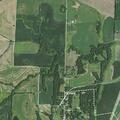 75-year-old woman with numb limbs and nausea in De Witt