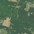 Active disturbance at Apple Harvest Drive address