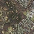 85-year-old female found unconscious but breathing