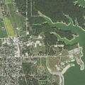 Abandoned fawn found at Ninth Street Beach