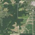 85-year-old male dizzy and pale in Palmyra