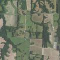 Grass fire near home on Monroe Road 1059