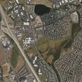 Verbal dispute over shared cat at mobile home park