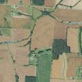 Vehicle damage to crops in field
