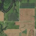 Vehicle hits dog on I Road near Beloit