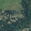 Sick female reported near Pony Creek Road in Fort Bragg