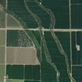 Complaint over loose dogs on neighbor’s farmland