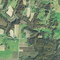Sick 56-year-old female reported at (number withheld) Reed Rd
